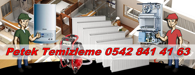 Garantili petek temizliği