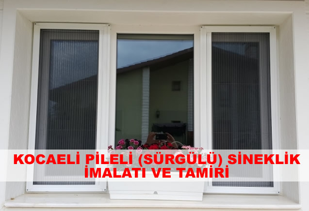 Sineklik Nasıl Temizlenir?